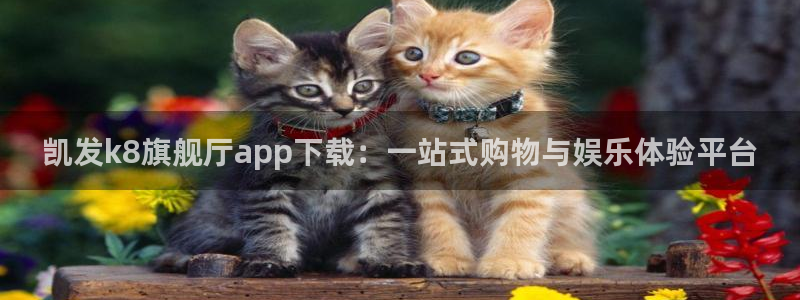 星耀国际平台招商：凯发k8旗舰厅app下载：一站式购物与娱乐体验平台