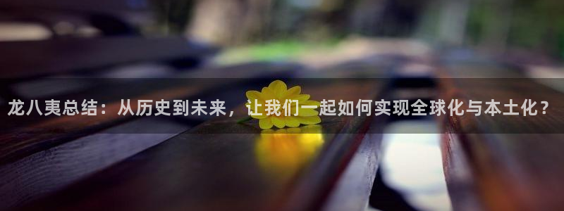 电子游戏星耀国际：龙八夷总结：从历史到未来，让我们一起如何实现全球化与本土化？