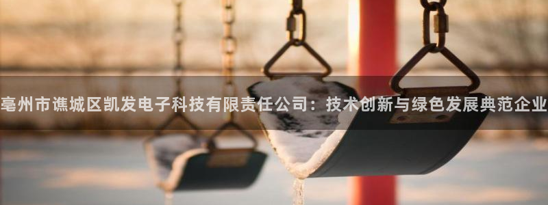 星耀国际4注册：亳州市谯城区凯发电子科技有限责任公司：技术创新与绿色发展典范企业