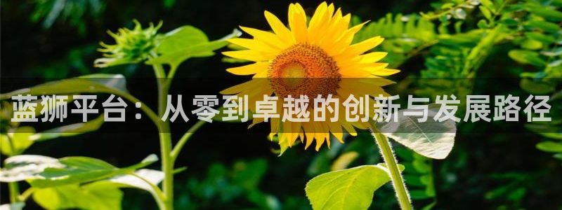 星耀国际k：蓝狮平台：从零到卓越的创新与发展路径