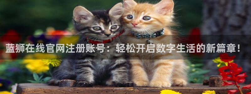 星耀国际平台开户：蓝狮在线官网注册账号：轻松开启数字生活的新篇章！