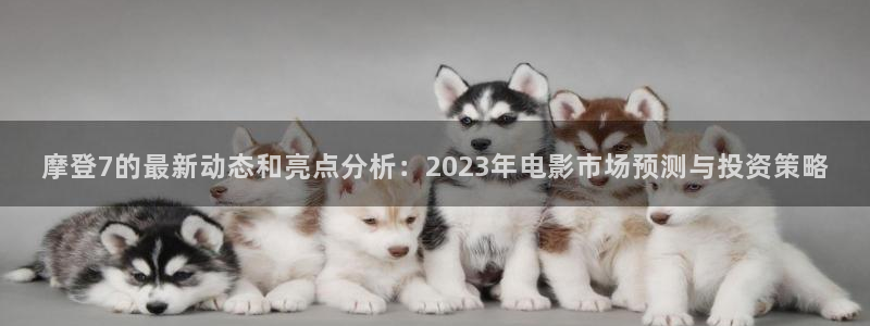 星耀国际凯捷开号链接：摩登7的最新动态和亮点分析：2023年电影市场预测与投资策