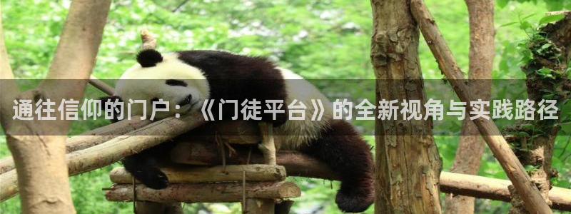 星耀国际预测在线预测：通往信仰的门户：《门徒平台》的全新视角与实践路径