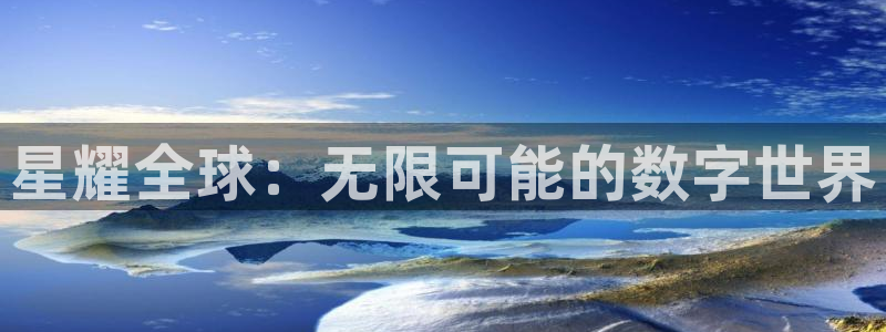 星耀国际软件：星耀全球：无限可能的数字世界