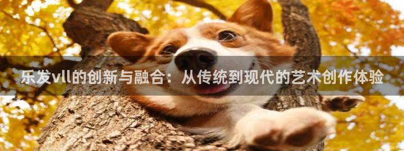 星耀国际体育官网入口登录：乐发vll的创新与融合：从传统到现代的艺术创作体验