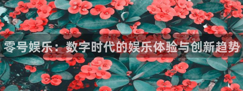 星耀国际电子游戏：零号娱乐：数字时代的娱乐体验与创新趋势