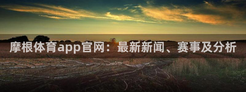 星耀国际集团股票：摩根体育app官网：最新新闻、赛事及分析