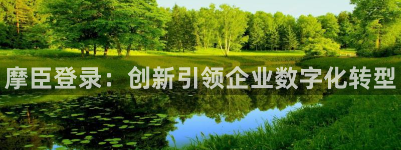 星耀国际2登录地址：摩臣登录：创新引领企业数字化转型