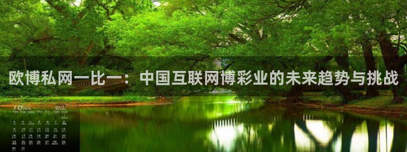 南宫星耀国际：欧博私网一比一：中国互联网博彩业的未来趋势与挑战