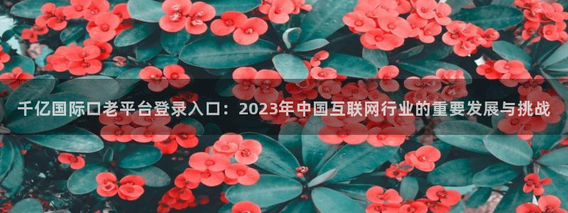 星耀国际平台下载入口：千亿国际口老平台登录入口：2023年中国互联网行业的重要发