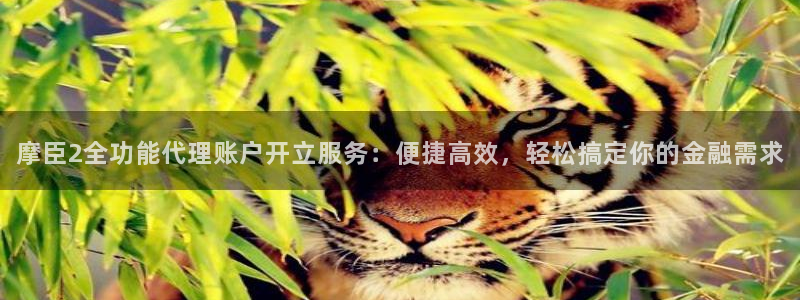星耀国际是赌博吗：摩臣2全功能代理账户开立服务：便捷高效，轻松搞定你的金融需求