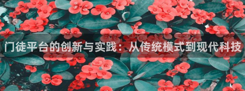 星耀国际体育平台开号链接：门徒平台的创新与实践：从传统模式到现代科技