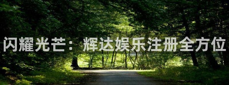 星耀国际app下载：闪耀光芒：辉达娱乐注册全方位