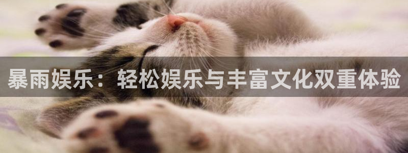 星耀国际凯捷注册：暴雨娱乐：轻松娱乐与丰富文化双重体验
