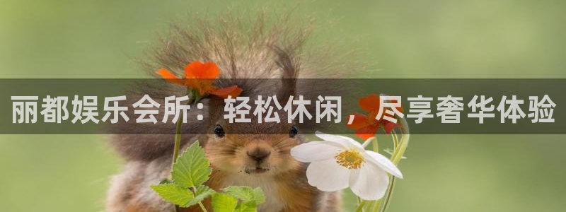 德国星耀国际集团：丽都娱乐会所：轻松休闲，尽享奢华体验