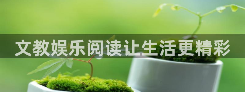 星耀国际平台最新版本下载：文教娱乐阅读让生活更精彩