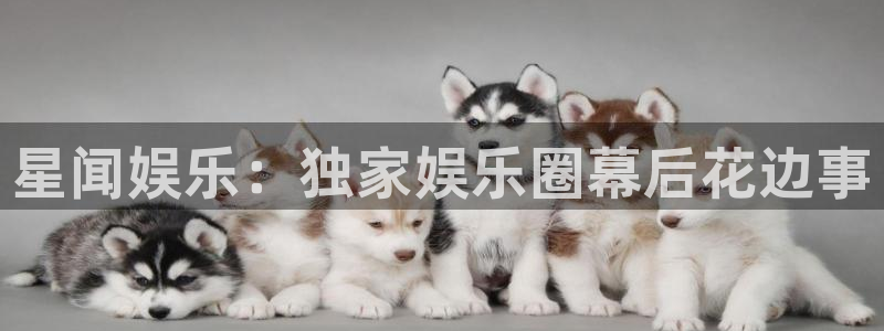 星耀国际体育官网注册：星闻娱乐：独家娱乐圈幕后花边事