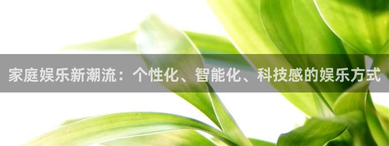 星耀国际3平台注册：家庭娱乐新潮流：个性化、智能化、科技感的娱乐方式