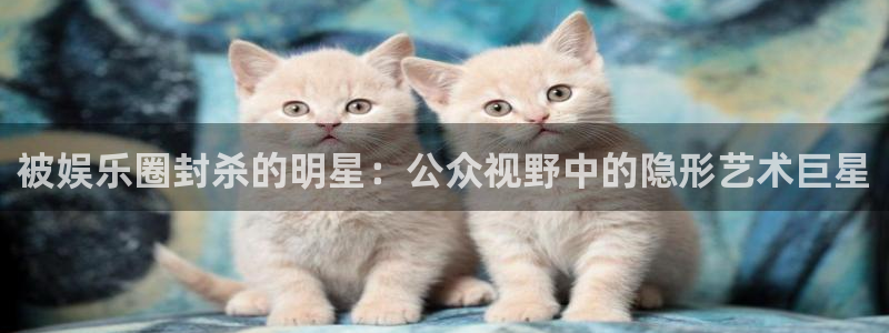 星耀国际平台官网入口：被娱乐圈封杀的明星：公众视野中的隐形艺术巨星