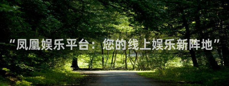 星耀国际体育：“凤凰娱乐平台：您的线上娱乐新阵地”