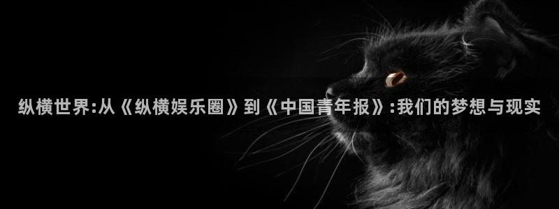 星耀国际体育f开号：纵横世界:从《纵横娱乐圈》到《中国青年报》:我们的梦想与现实