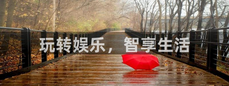 星耀国际体育app下载：玩转娱乐，智享生活