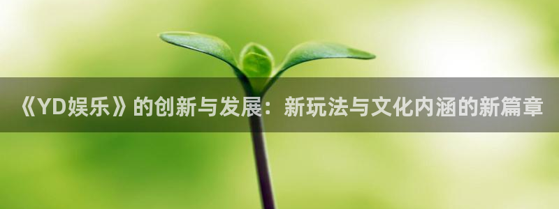 星耀国际平台登录入口：《YD娱乐》的创新与发展：新玩法与文化内涵的新篇章