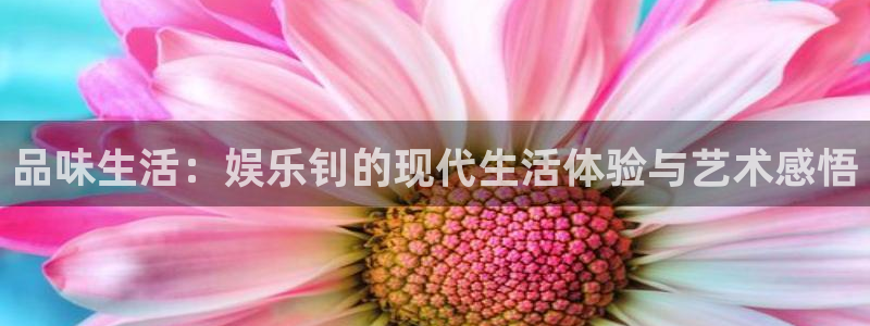 星耀国际电子游戏网页版：品味生活：娱乐钊的现代生活体验与艺术感悟