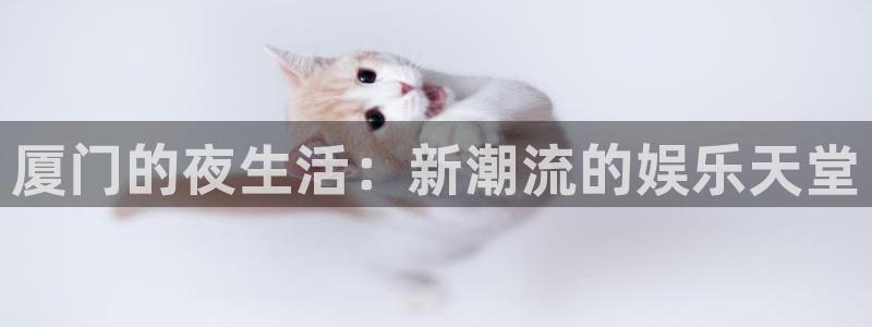 星耀国际凯捷平台注册链接：厦门的夜生活：新潮流的娱乐天堂