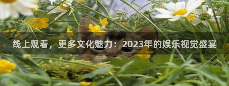 星耀国际体育官网注册：线上观看，更多文化魅力：2023年的娱乐视觉盛宴