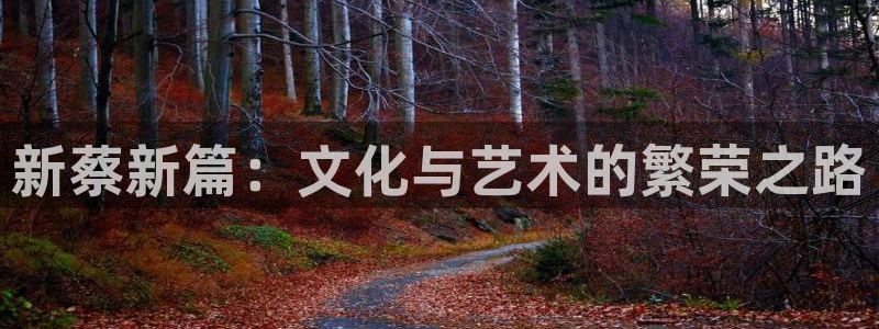 星耀国际游戏试玩：新蔡新篇：文化与艺术的繁荣之路