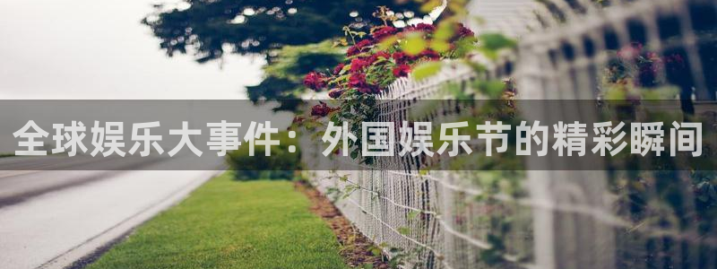 星耀国际：全球娱乐大事件：外国娱乐节的精彩瞬间