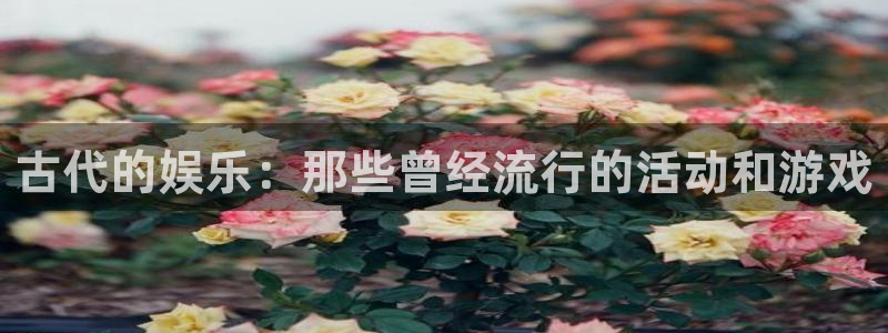 星耀国际是真的吗：古代的娱乐：那些曾经流行的活动和游戏