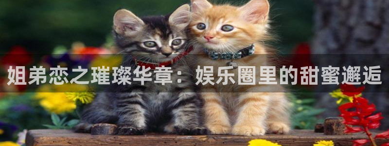 星耀国际2登录地址：姐弟恋之璀璨华章：娱乐圈里的甜蜜邂逅